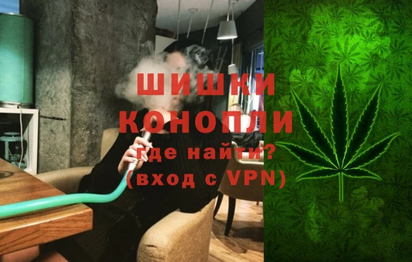 шишки Алзамай