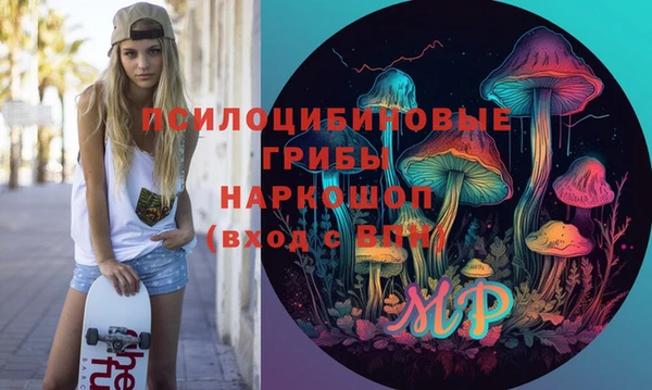 герыч Алексин