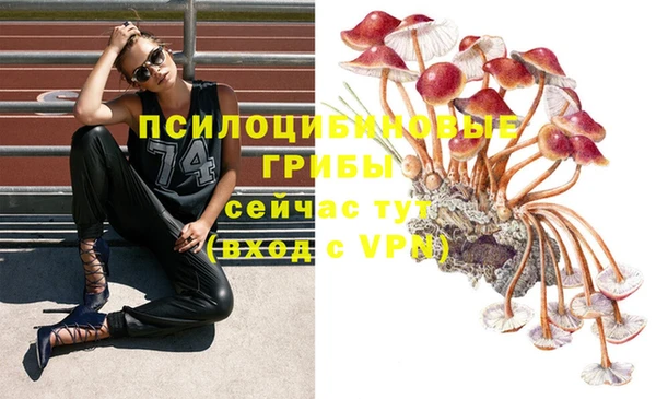 герыч Алексин