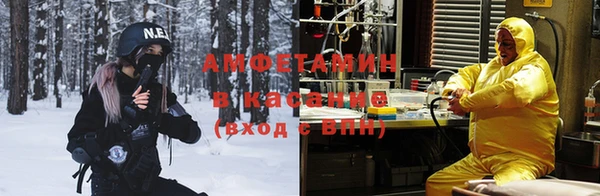 шишки Алзамай